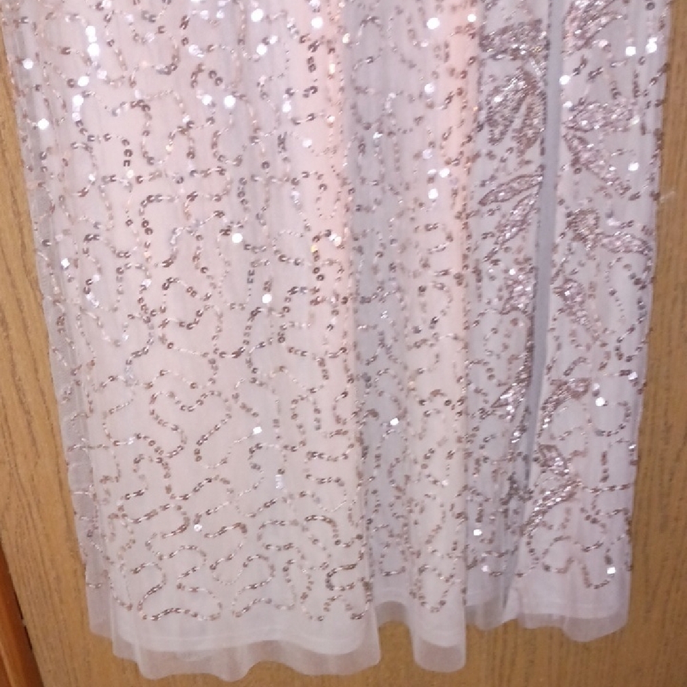 Adrianna Papell Gorgeous Sequin gown - Picture 7 of 7